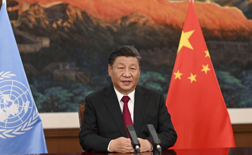 Xi Jinping: global solidarity is the only way to protect biodiversity