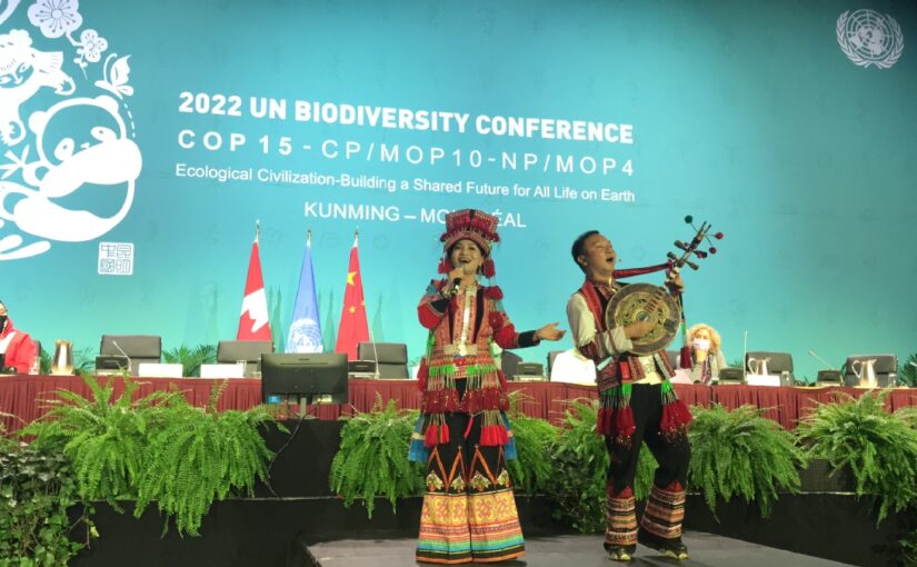 Summit links biodiversity with culture