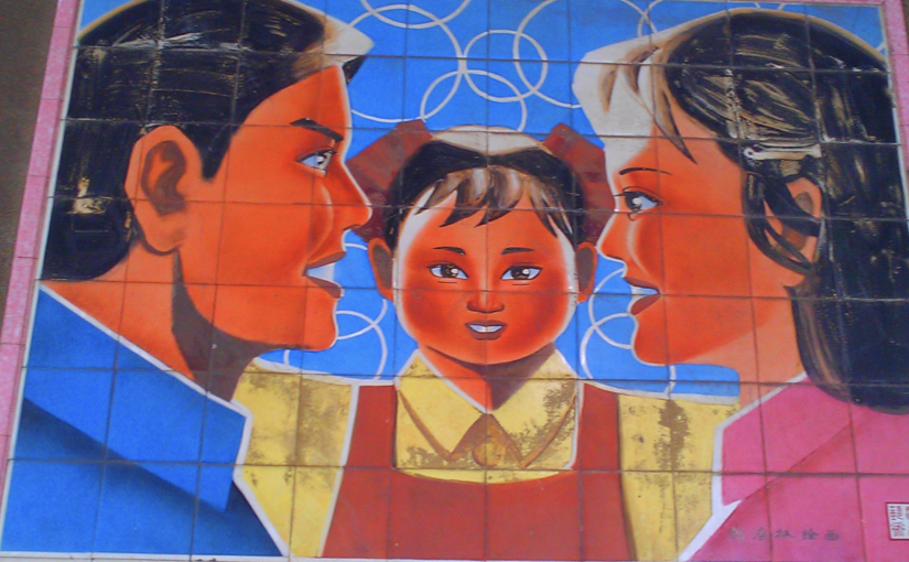 The One Child Policy and the Chinese “demographic crisis”