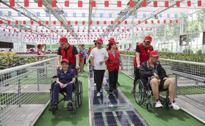 China marks 33rd national day of assisting disabled persons