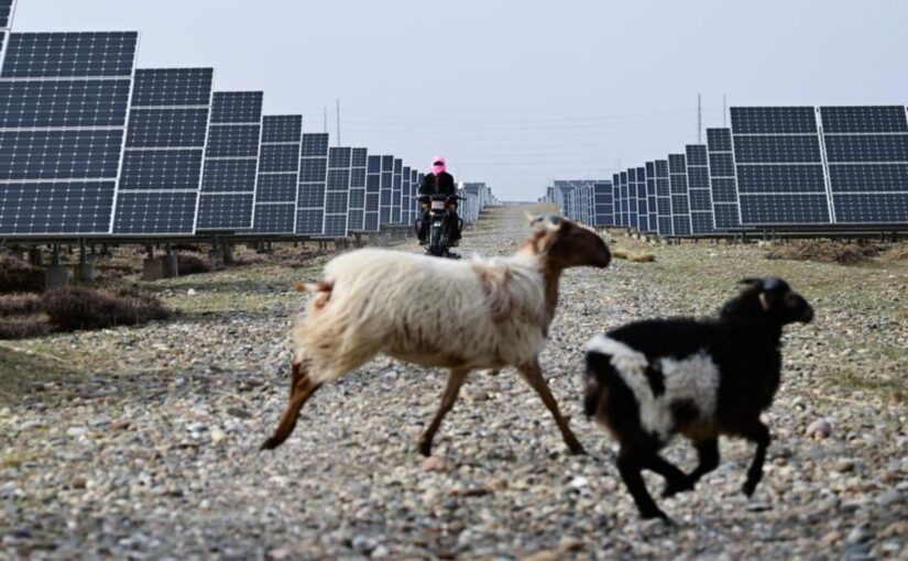 Solar power farms on plateau fuel China’s green energy revolution