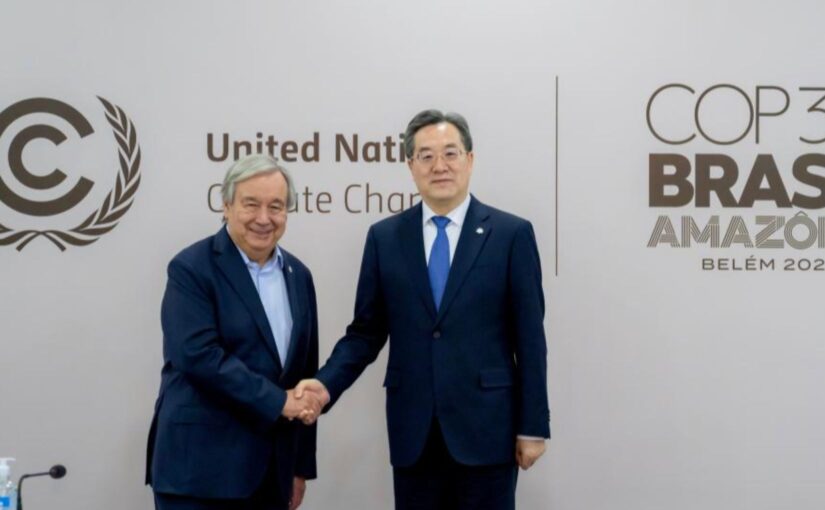 China at COP30: unswervingly promote green development and build a beautiful world of harmony between humanity and nature