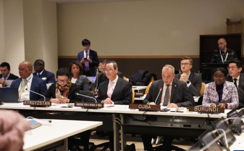 Group of Friends of Global Governance launched at UN